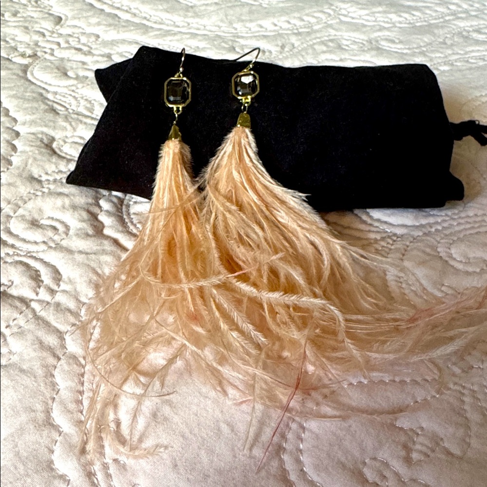 Elegant Feather Tassel Earrings